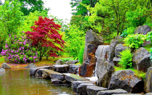 1106833 (a): :2560x1600
